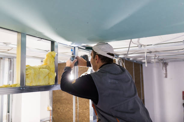 Best Commercial Insulation in Benld, IL