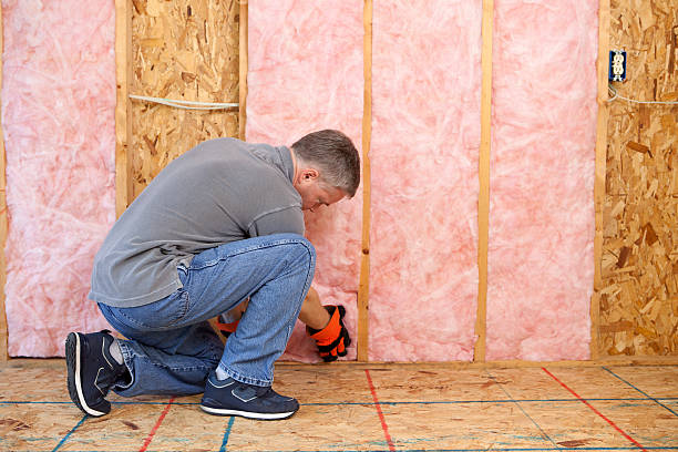 Best Insulation Installation Services in Benld, IL
